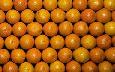 קונפיטורת תפוזים