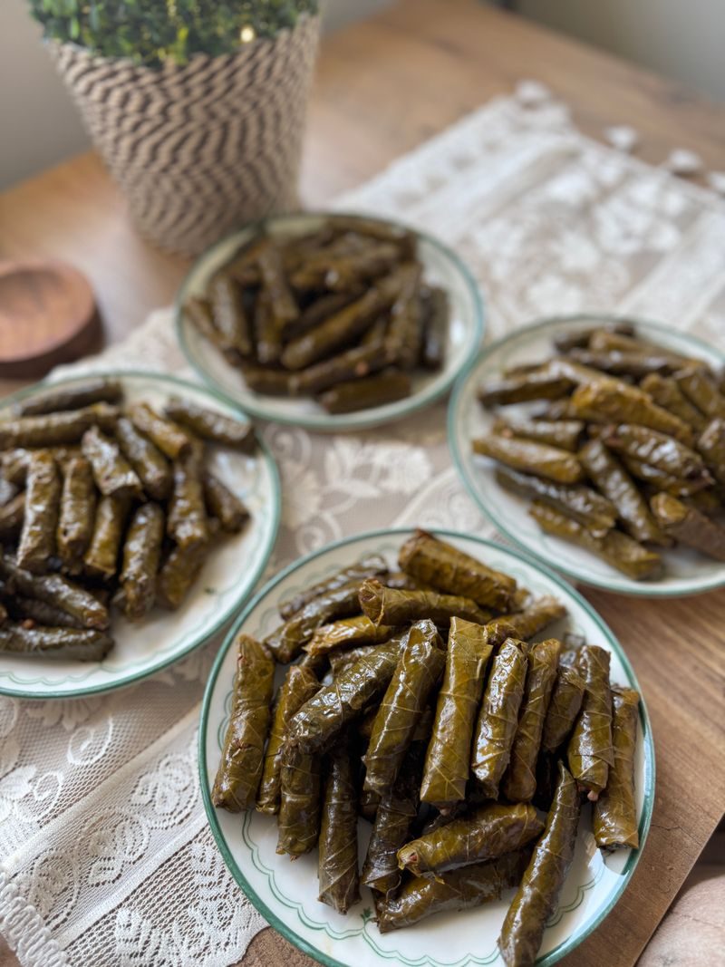 דולמה ירקות ממולאים באורז וצמחי תבלין
