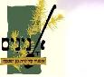 מרק מיסו