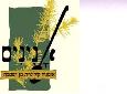 מרק מיסו של אנינים סדנאות בישול
