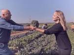 איפה קונים את הירקות הכי טריים? וגם מתכון לסלט שורשים של גוז' ודניאל