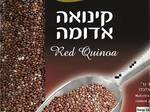 מרק קינואה אדומה