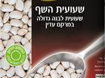 שעועית לבנה פריכה וחציל שרוף על טחינה