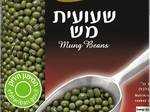 סלט שעועית מש ופטל עם פילה דג צרוב
