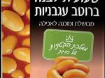 שעועית לבנה עם זוקיני ברוטב עגבניות